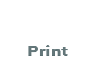 printicon